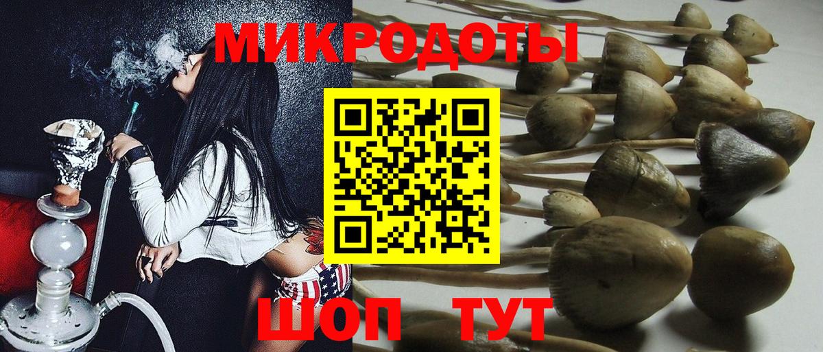 Галлюциногенные грибы Psilocybe  Вход с VPN  Галлюциногенные грибы мицелий  Большой Камень 